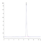 Human ANTXR2 Protein (ANT-HM1R2)