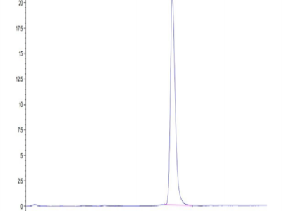 Human ANTXR2 Protein (ANT-HM1R2)