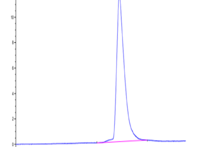 Mouse ANTXR2 Protein (ANT-MM1R2)