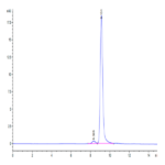 Cynomolgus ANXA1 Protein (ANX-CE1A1)