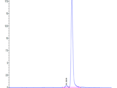 Cynomolgus ANXA1 Protein (ANX-CE1A1)