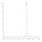 Mouse ANXA1 Protein (ANX-ME1A1)