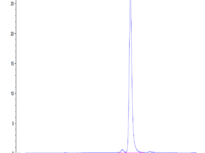 Mouse ANXA1 Protein (ANX-ME1A1)