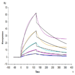 Cynomolgus Alkaline Phosphatase (Placental type) /ALPP Protein (APE-CM102)