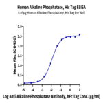 Human Alkaline Phosphatase (Placental type) /ALPP Protein (APE-HM102)