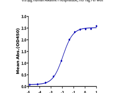 Human Alkaline Phosphatase (Placental type) /ALPP Protein (APE-HM102)
