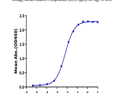 Human Alkaline Phosphatase (Germ type) /ALPG Protein (APE-HM103)