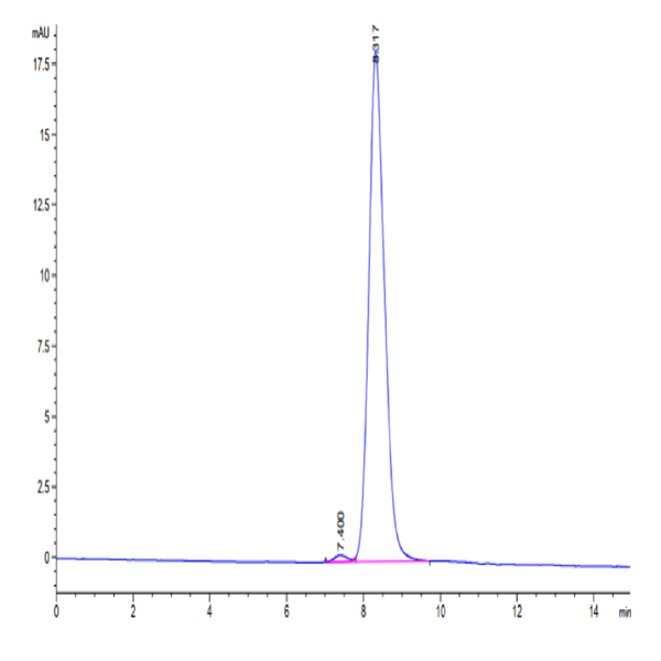 Human Alkaline Phosphatase (Germ type) /ALPG Protein (APE-HM103)