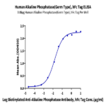 Human Alkaline Phosphatase (Germ type) /ALPG Protein (APE-HM203)