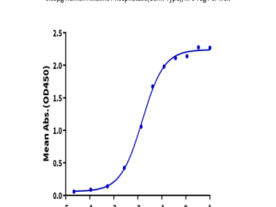 Human Alkaline Phosphatase (Germ type) /ALPG Protein (APE-HM203)