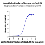 Human Alkaline Phosphatase (Germ type) /ALPG Protein (APE-HM303)