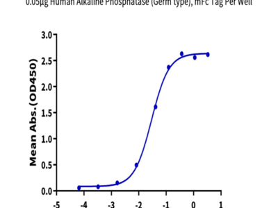 Human Alkaline Phosphatase (Germ type) /ALPG Protein (APE-HM303)