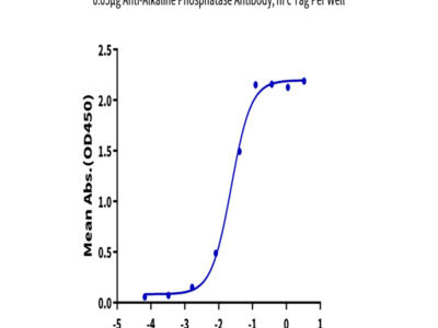 Biotinylated Human Alkaline Phosphatase (Germ type) /ALPG Protein (APE-HM403B)