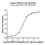 Human ANGPT2/Angiopoietin-2 Protein (APN-HM401)