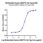 Biotinylated Human ANGPT2/Angiopoietin-2 Protein (APN-HM401B)