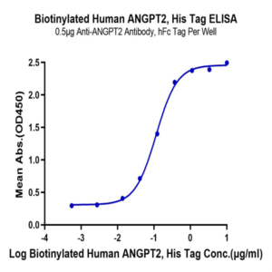 Biotinylated Human ANGPT2/Angiopoietin-2 Protein (APN-HM401B)