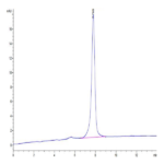 Mouse APLN Protein (APN-MM201)