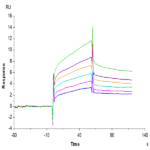 Human APOE3/Apolipoprotein E Protein (APO-HM101)