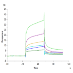 Biotinylated Human APOE3/Apolipoprotein E Protein (Primary Amine Labeling) (APO-HM101B)