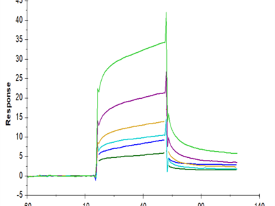 Biotinylated Human APOE3/Apolipoprotein E Protein (Primary Amine Labeling) (APO-HM101B)