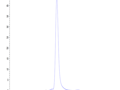 Mouse APOE/Apolipoprotein E Protein (APO-MM202)