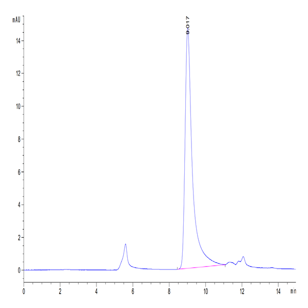 Cynomolgus APRIL/TNFSF13 Trimer Protein (APR-CM410)