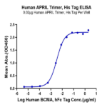 Human APRIL/TNFSF13 Trimer Protein (APR-HM110)