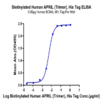 Biotinylated Human APRIL/TNFSF13 Trimer Protein (Primary Amine Labeling) (APR-HM110B)