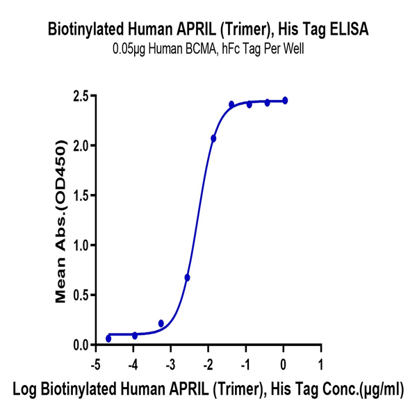 Biotinylated Human APRIL/TNFSF13 Trimer Protein (Primary Amine Labeling) (APR-HM110B) Biotinylated Human APRIL/TNFSF13 Trimer Protein (Primary Amine Labeling) (APR-HM110B)