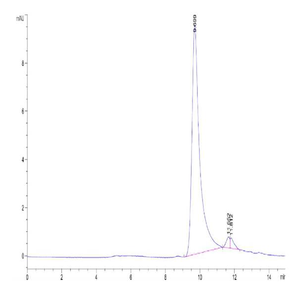Biotinylated Human APRIL/TNFSF13 Trimer Protein (Primary Amine Labeling) (APR-HM110B)