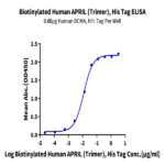 Biotinylated Human APRIL/TNFSF13 Trimer Protein (APR-HM410B)