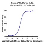 Mouse APRIL/TNFSF13 Protein (APR-MM110)