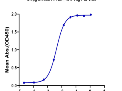 Mouse APRIL/TNFSF13 Protein (APR-MM110)