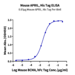 Mouse APRIL/TNFSF13 Protein (APR-MM113)