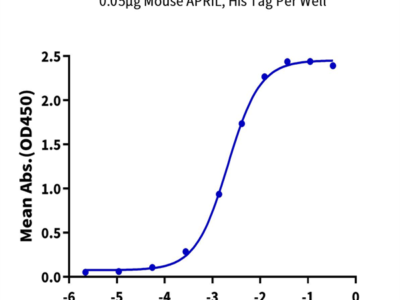 Mouse APRIL/TNFSF13 Protein (APR-MM113)