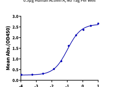Human Activin RIIA/ACVR2A Protein (ARA-HM12A)