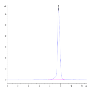 Human Activin RIIA/ACVR2A Protein (ARA-HM12A)