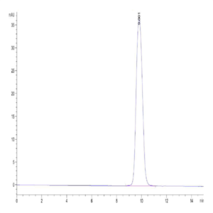 Human Activin RIIB/ACVR2B Protein (ARB-HM12B)