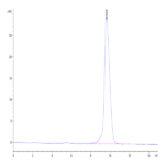 Mouse Activin RIIB/ACVR2B Protein Protein (ARB-MM12B)