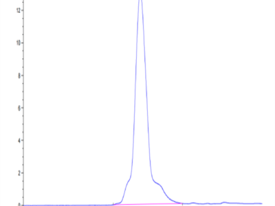 Human Aggrecan Protein (ARN-HM101)