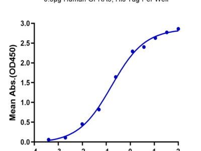 Human ARTN Protein (ARN-HM201)