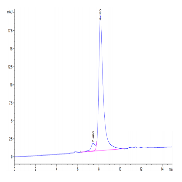 Human ARTN Protein (ARN-HM201)