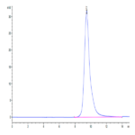 Human ASGR1 Protein (ASG-HM1R1)