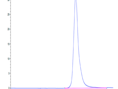 Human ASGR1 Protein (ASG-HM1R1)