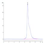 Mouse ASGR1 Protein (ASG-MM1R1)