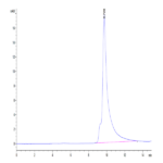 Human ASPH Protein (ASP-HE101)