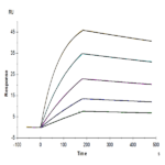 Cynomolgus AXL Protein (AXL-CM102)