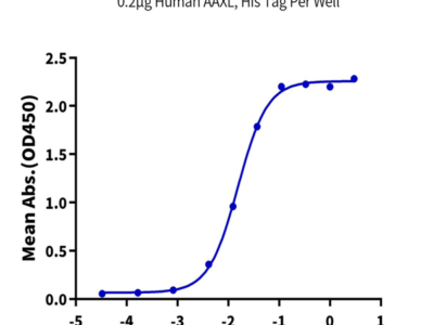 Human AXL Protein (AXL-HM401)