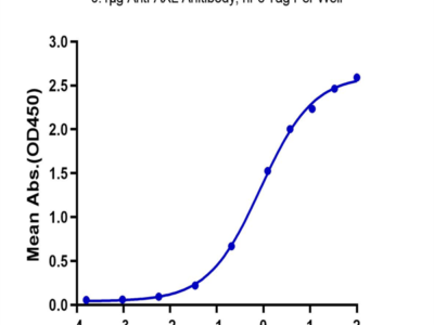 Biotinylated Human AXL Protein (AXL-HM401B)