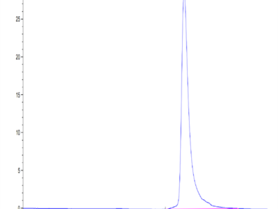 Cynomolgus/Rhesus macaque B2M/beta 2-Microglobulin Protein (B2M-CM101)